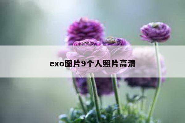 exo图片9个人照片高清