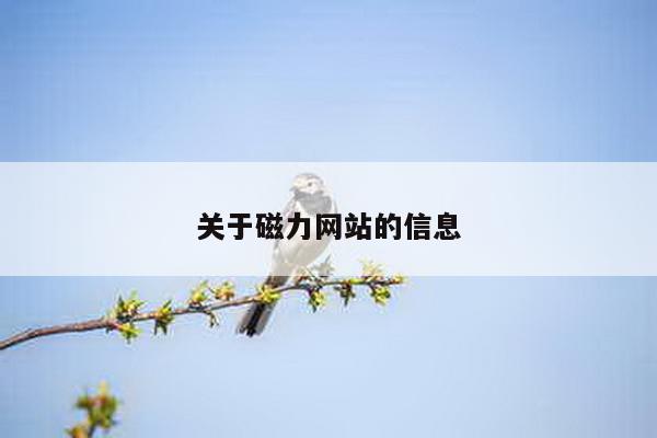 关于磁力网站的信息