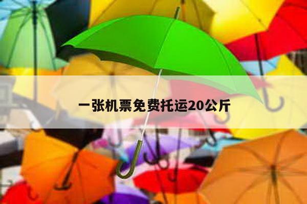 一张机票免费托运20公斤