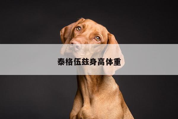 泰格伍兹身高体重