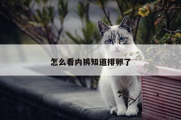 怎么看内裤知道排卵了