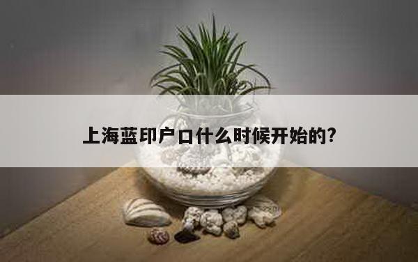 上海蓝印户口什么时候开始的?