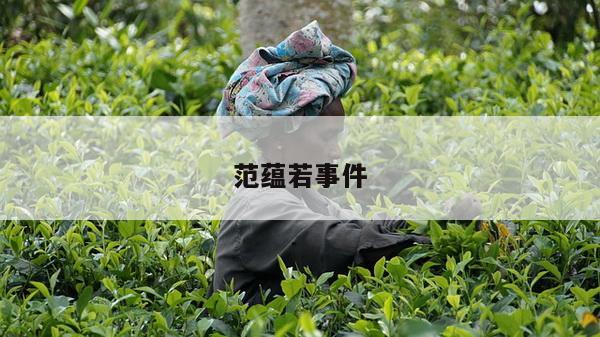 范蕴若事件