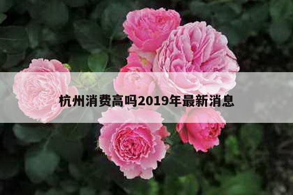 杭州消费高吗2019年最新消息