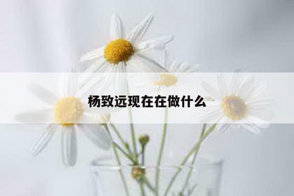 杨致远现在在做什么