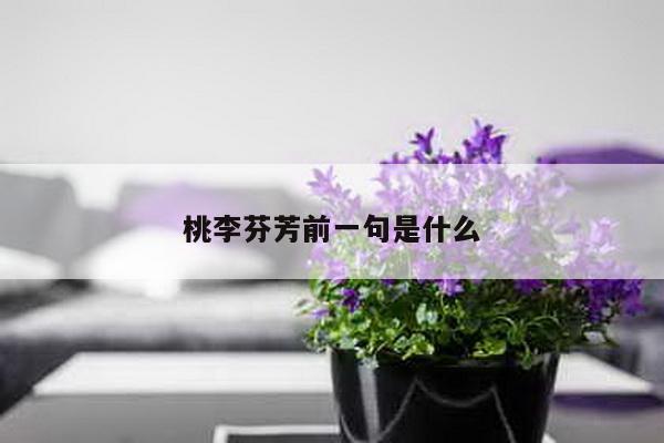 桃李芬芳前一句是什么