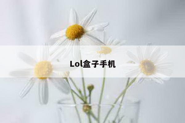 Lol盒子手机