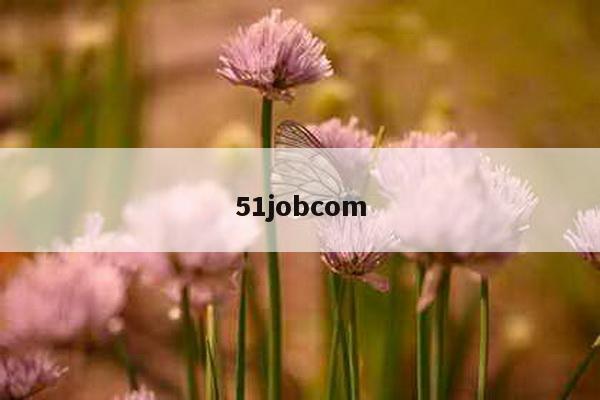 51jobcom