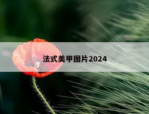 法式美甲图片2024