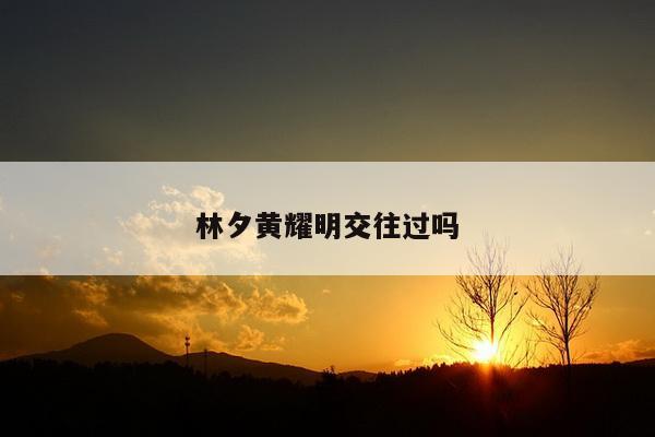 林夕黄耀明交往过吗