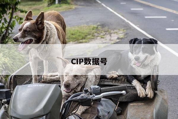 CIP数据号