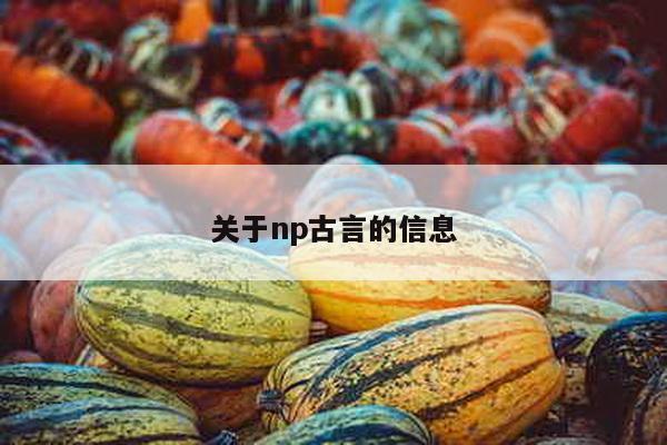 关于np古言的信息