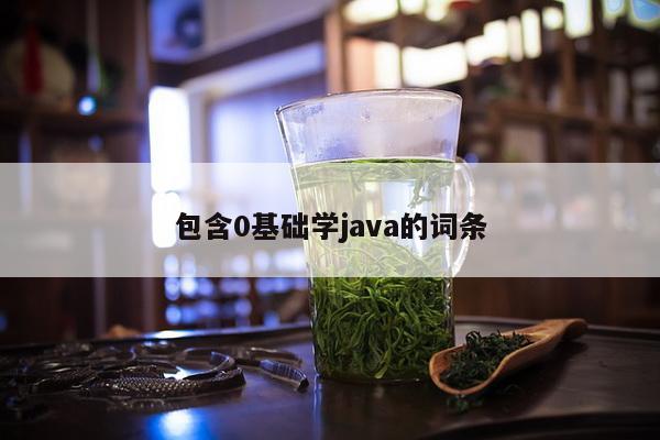 包含0基础学java的词条