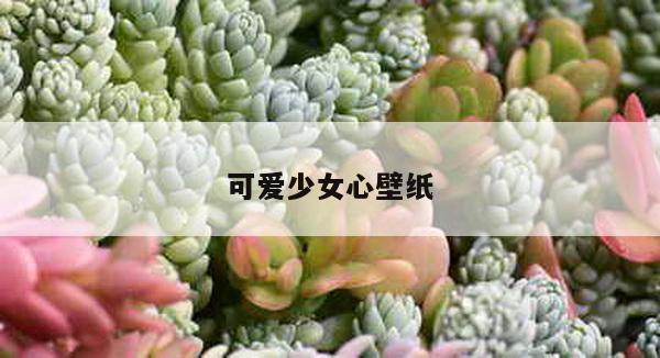 可爱少女心壁纸