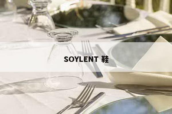 SOYLENT 鞋