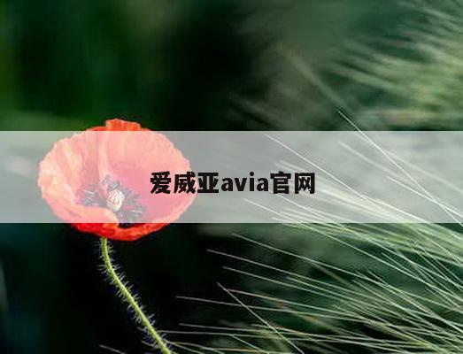 爱威亚avia官网