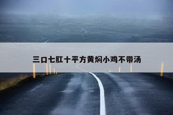 三口七肛十平方黄焖小鸡不带汤