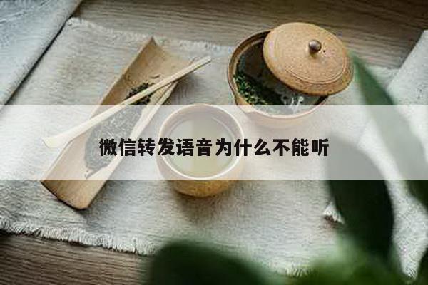 微信转发语音为什么不能听