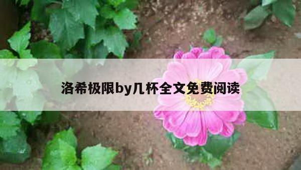 洛希极限by几杯全文免费阅读