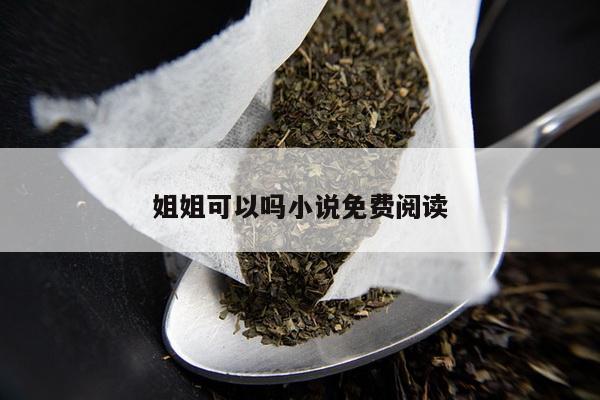 姐姐可以吗小说免费阅读