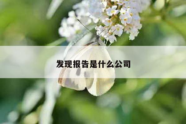 发现报告是什么公司